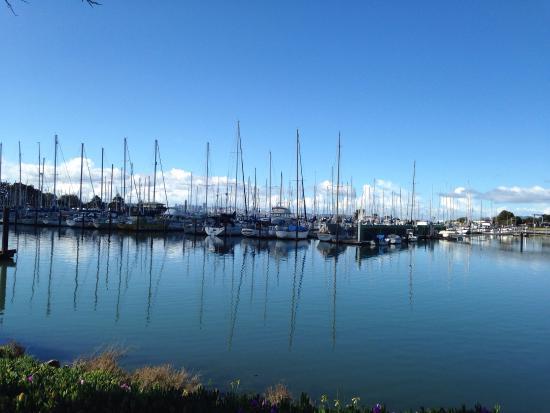 Berkeley Marina